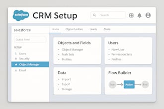 manage salesforce CRM with accurate data entry