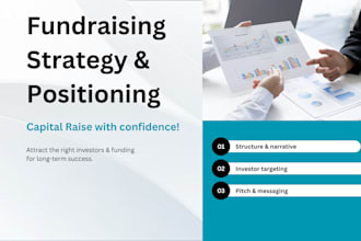 provide an investor strategy and list plus positioning for your raise