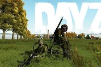 create custom dayz mods, scripts and server coding for you