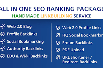 provide all in one professional SEO service