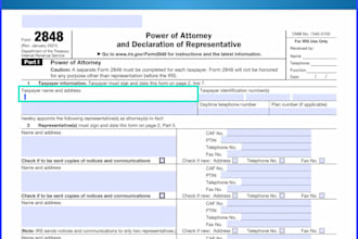 design custom fillable PDF forms with 12 hours