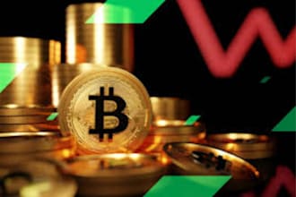 build profitable real bitcoin , btc and usdt fast for you