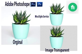 provide clean and attractive product photo editing services