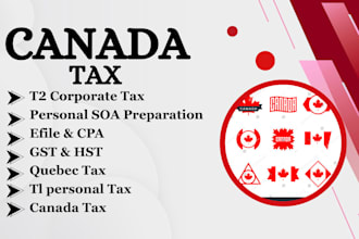 efile canada corporation tax, t2 canada as CPA business tax canada
