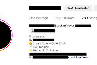 review and improve your instagram bio