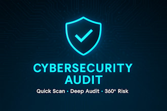 perform a profesional cybersecurity vulnerability audit and detailed risk report