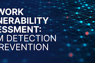 audit your IT infrastructure and help with vulnerability assessment
