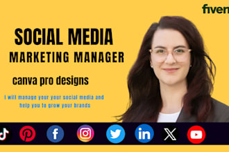 be your social media manager for your brand monthly social content creator