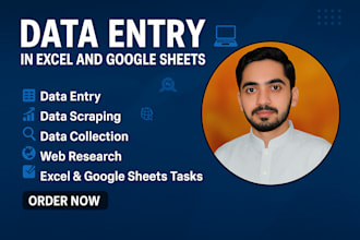 do data collection, data entry, data scraping and excel work
