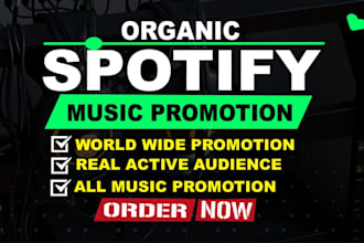 do spotify music promotion, spotify album promotion, spotify artist growth