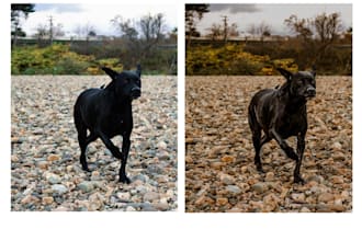 fix, color, and retouch your images with care