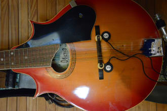 play mandolin on your song
