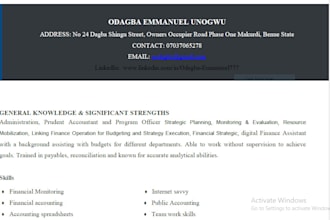 write a resume CV on finances in en fr IT