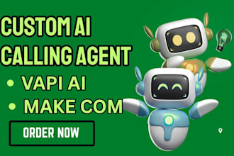 setup vapi ai calling agent ai cold calling agent ai voice agent vapi ai agent