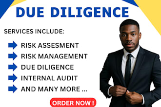 perform m and a and financial due diligence with investor ready reports