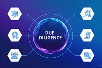 conduct vc and investor due diligence with financial risk analysis