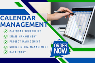 long term virtual assistant executive assistant email calendar management