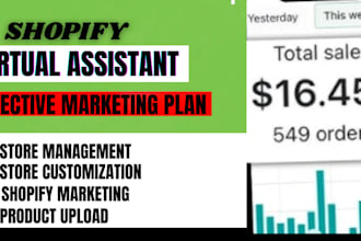 be your shopify virtual assistant shopify store manager