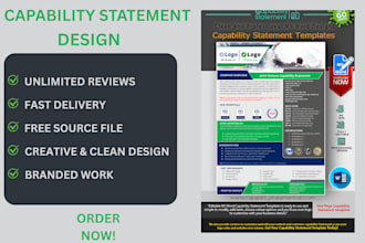 design a professional government capability statement for your business