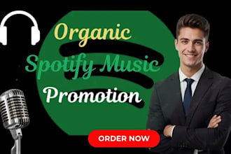 do organic spotify music promotion to boost spotify promotion for song and album