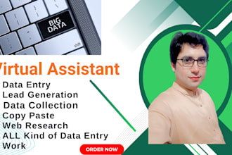 be VA data entry,lead generation,web scraping, mining,data extraction,copy paste