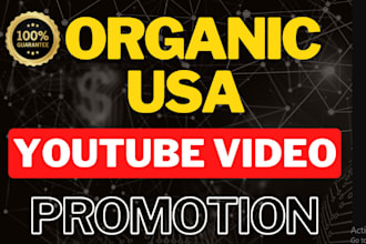 do USA super fast organic youtube video promotion boost video views and growth