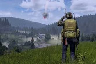 create full dayz server, redm server, fivem kuttes, gta5 fivem ped,fivem script