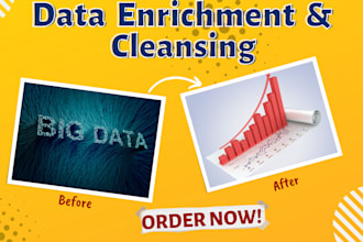 professionally clean, enrich, and validate your b2b data for better results
