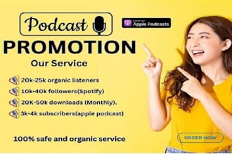 do professional spotify music promotionto active audience