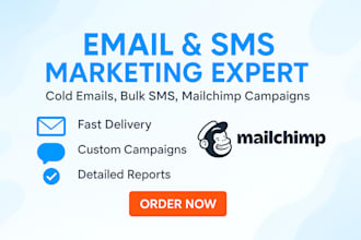 handle your email marketing, cold emailing, bulk SMS, and mailchimp campaigns
