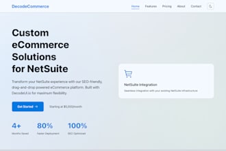 create a professional netsuite ecommerce website