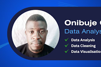 analyse your data in excel, sql or python and powerbi