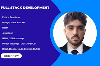 develop your custom web application using reactjs, django, node js and python