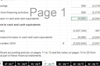 do bookkeeping tally, quick books, financial reports