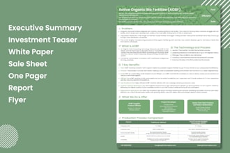 create a clean business one pager, executive summary or investment teaser design