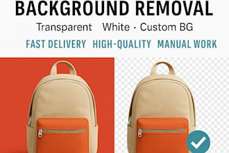 remove background from 10 images in 1 hour professionally