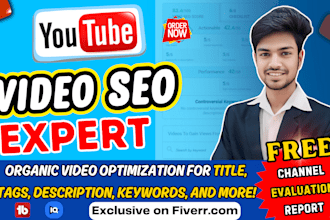 provide the best youtube video SEO and optimization service for you