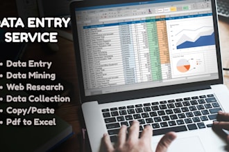 do excel data entry, formulas, pivot tables, and dashboard creation