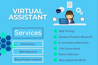 do data entry VA, email collection, lead generation and web research