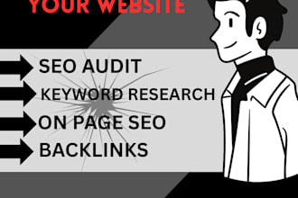 provide complete seo service in shopify, wordpress monthly