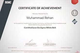 do lean six sigma and industrial engineering projects