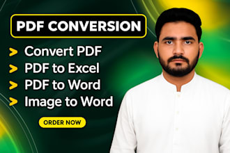 convert PDF to word, PDF to excel or data entry in 24 hours