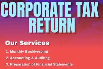 uae corporate tax return