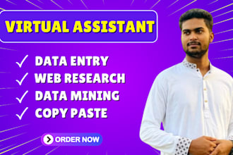 be your virtual assistant for data entry, data mining, copy paste, web research