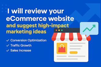 review and audit your ecommerce website and suggest high impact marketing ideas