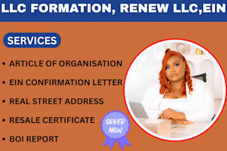 do US llc registration,ein number,boi report or renew llc