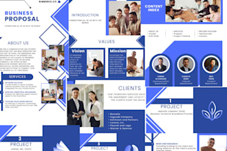 design professional powerpoint or canva presentations and pitch decks