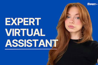 be your expert and workaholic virtual assistant