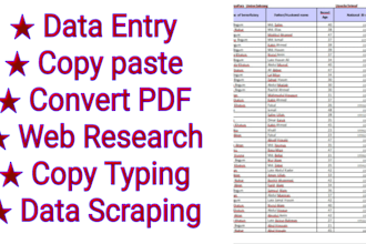 do excel data entry, copy paste, convert PDF, web research