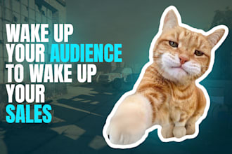 write sales copy, vsls, landing pages, and be your sales funnel strategist